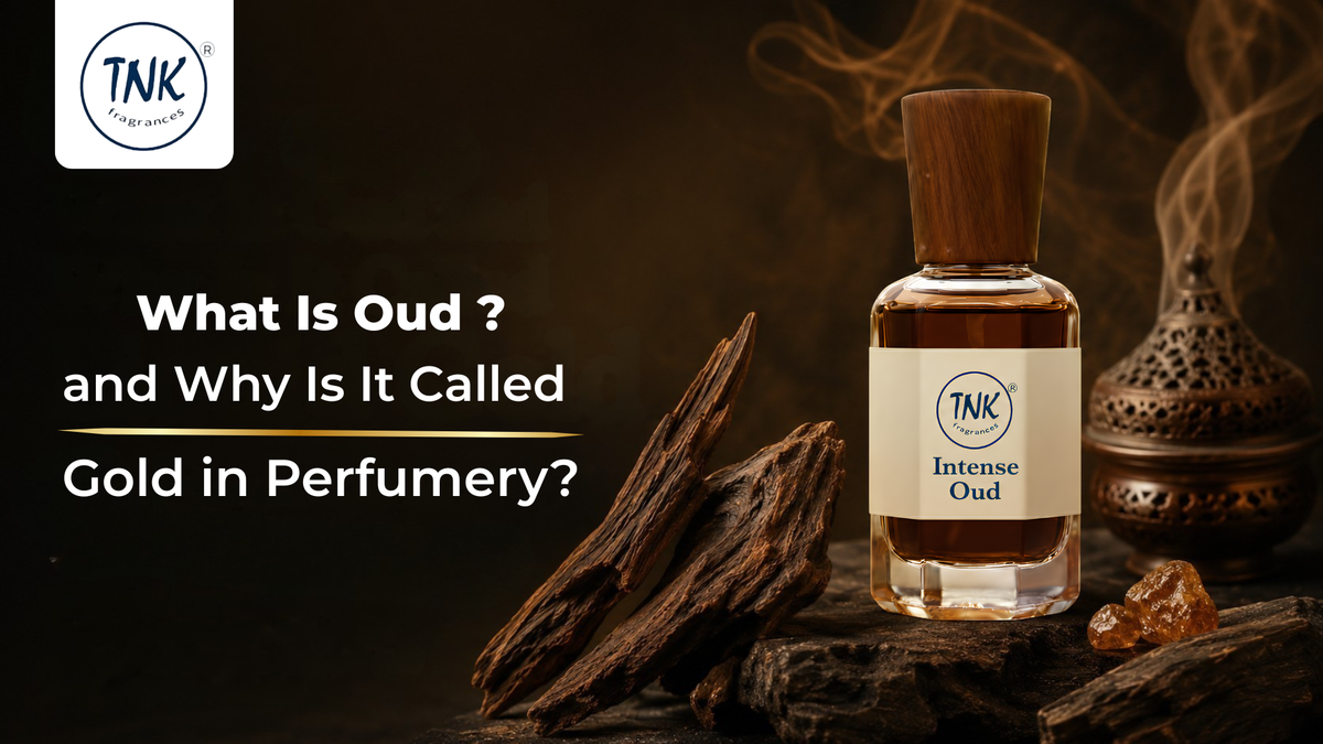 What Is Oud and Why Is It Called Liquid Gold in Perfumery?