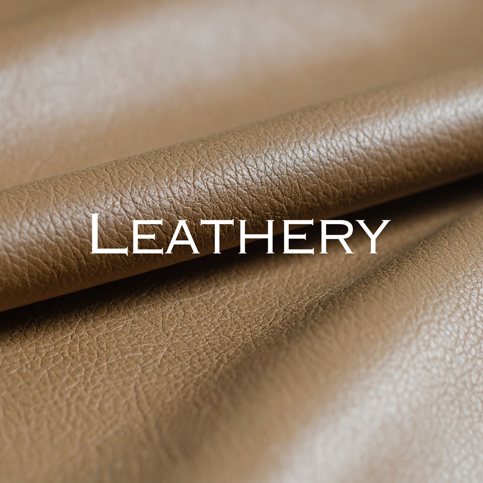 Leathery Note