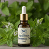 Peppermint Essential Oil